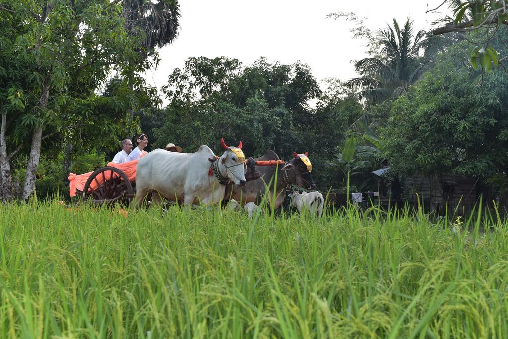 Angkor Rural Boutique Resort Siem Reap Exteriör bild