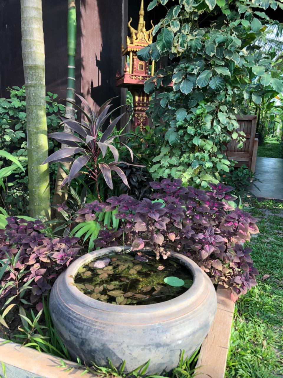 Angkor Rural Boutique Resort Siem Reap Exteriör bild